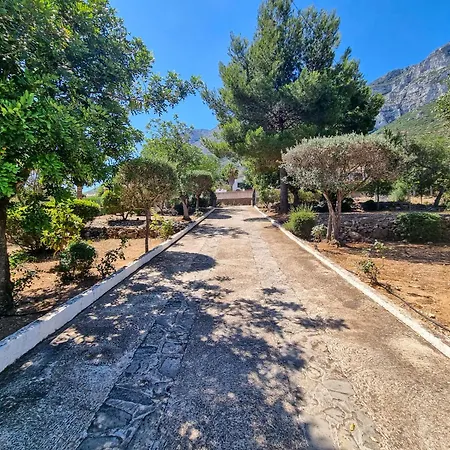 Villa 3 Bedroom With Beautiful Sea View